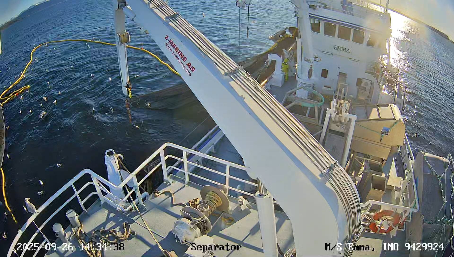 snapshot-202511081145503